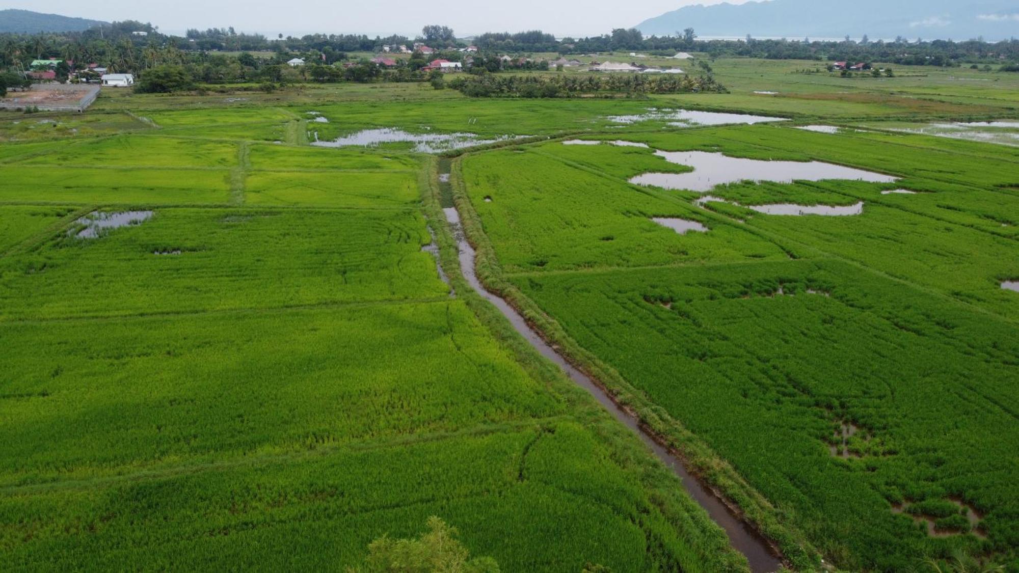 Villa Tempoyak Homestay Pantai Cenang  Ngoại thất bức ảnh