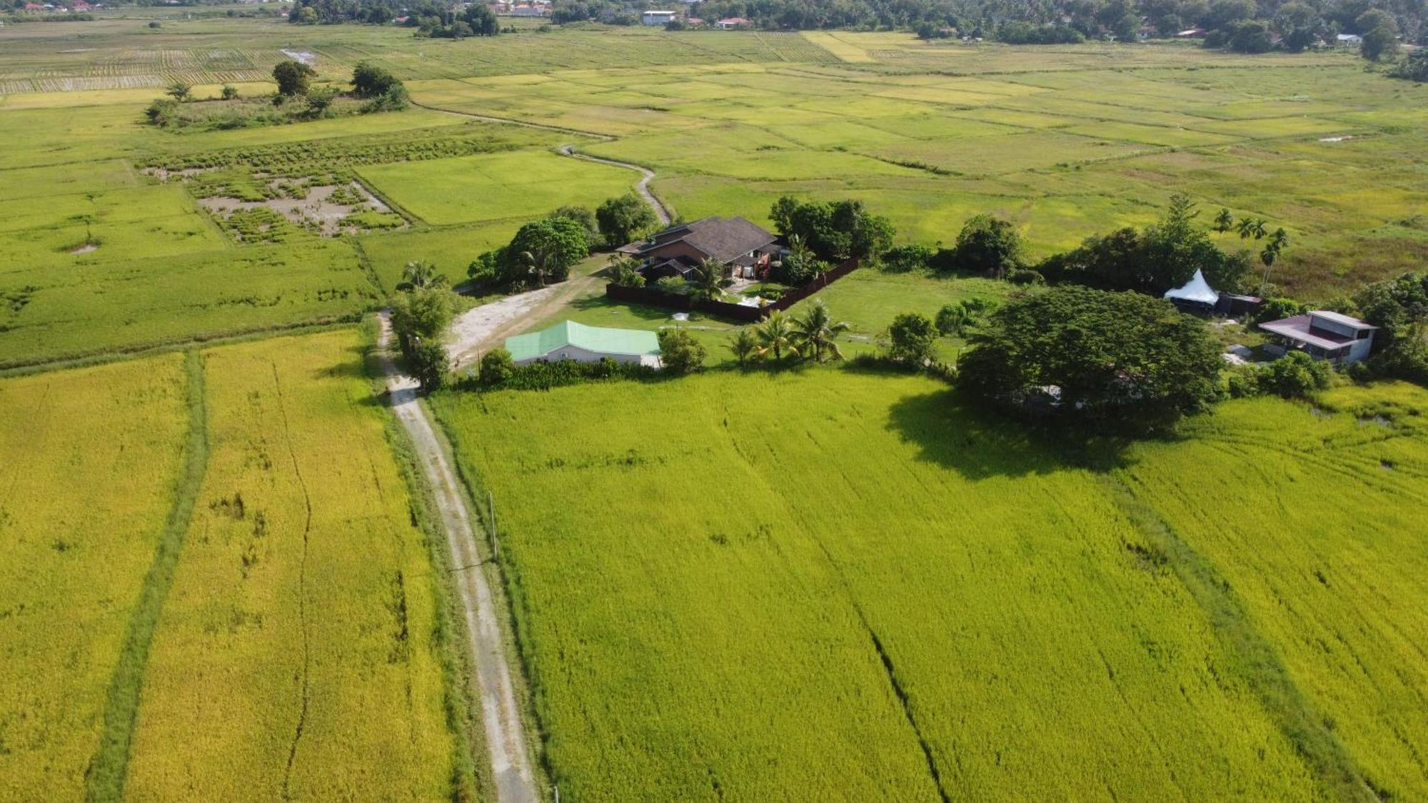 Villa Tempoyak Homestay Pantai Cenang  Ngoại thất bức ảnh