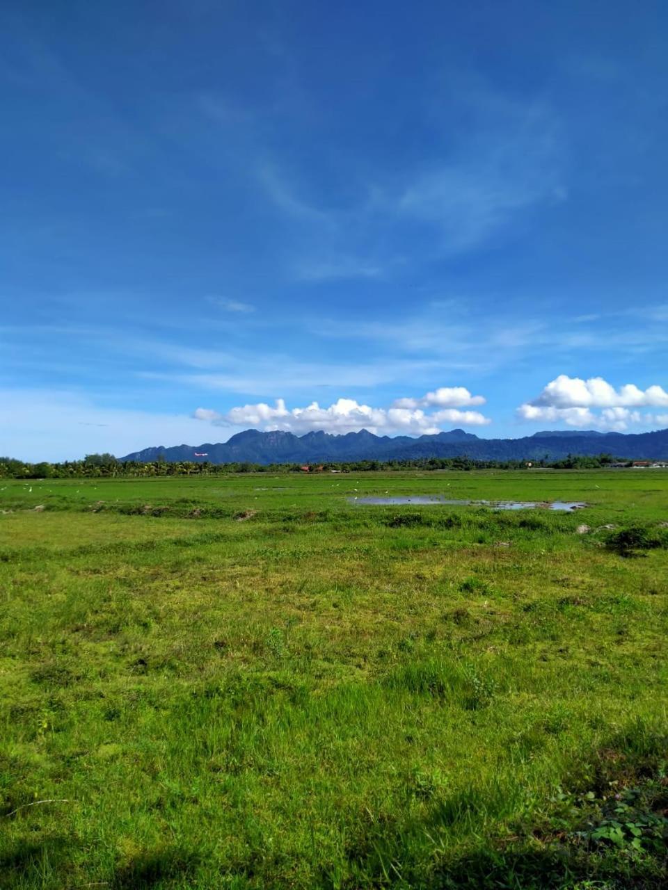 Villa Tempoyak Homestay Pantai Cenang  Ngoại thất bức ảnh