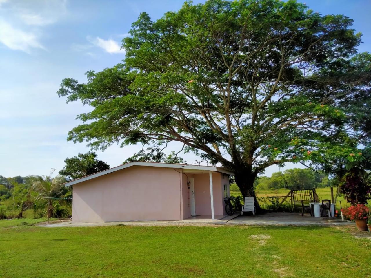 Villa Tempoyak Homestay Pantai Cenang  Ngoại thất bức ảnh