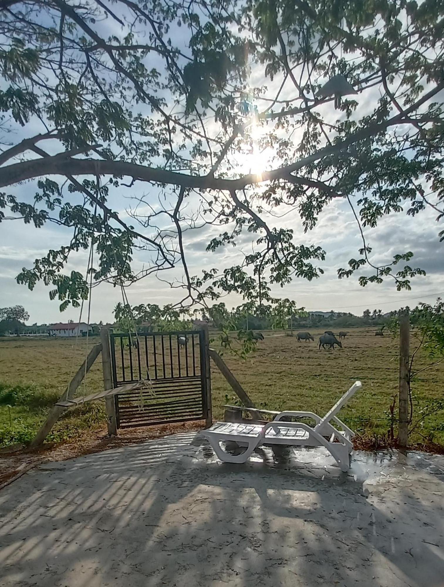 Villa Tempoyak Homestay Pantai Cenang  Phòng bức ảnh