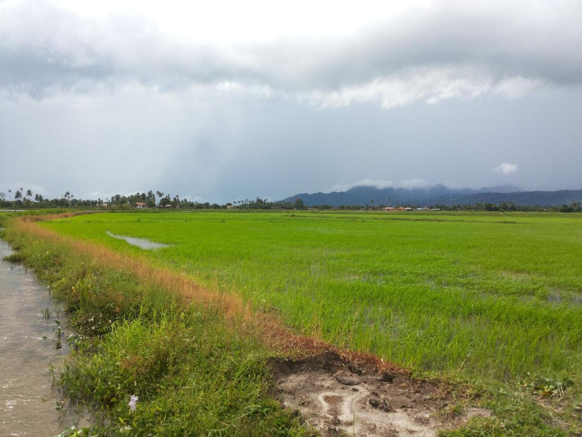 Villa Tempoyak Homestay Pantai Cenang  Ngoại thất bức ảnh