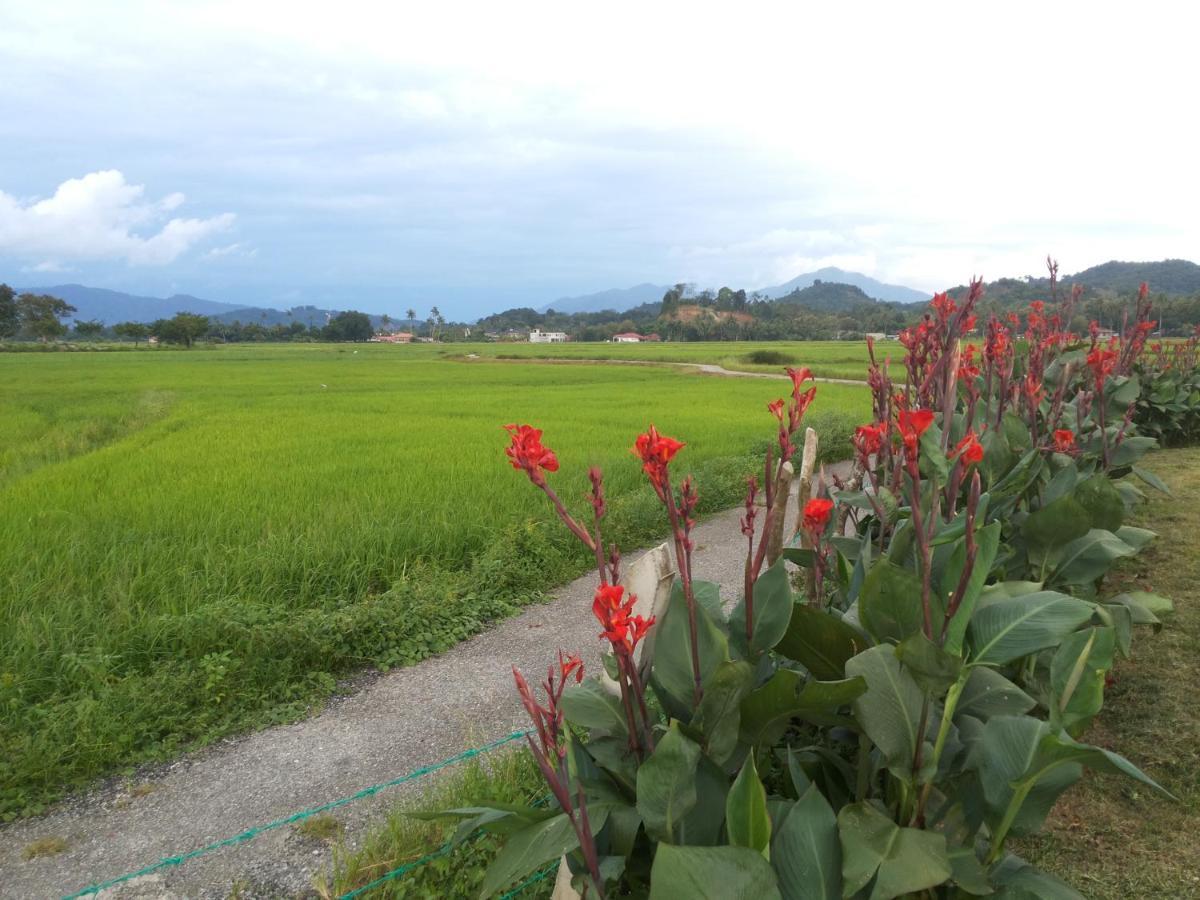 Villa Tempoyak Homestay Pantai Cenang  Ngoại thất bức ảnh